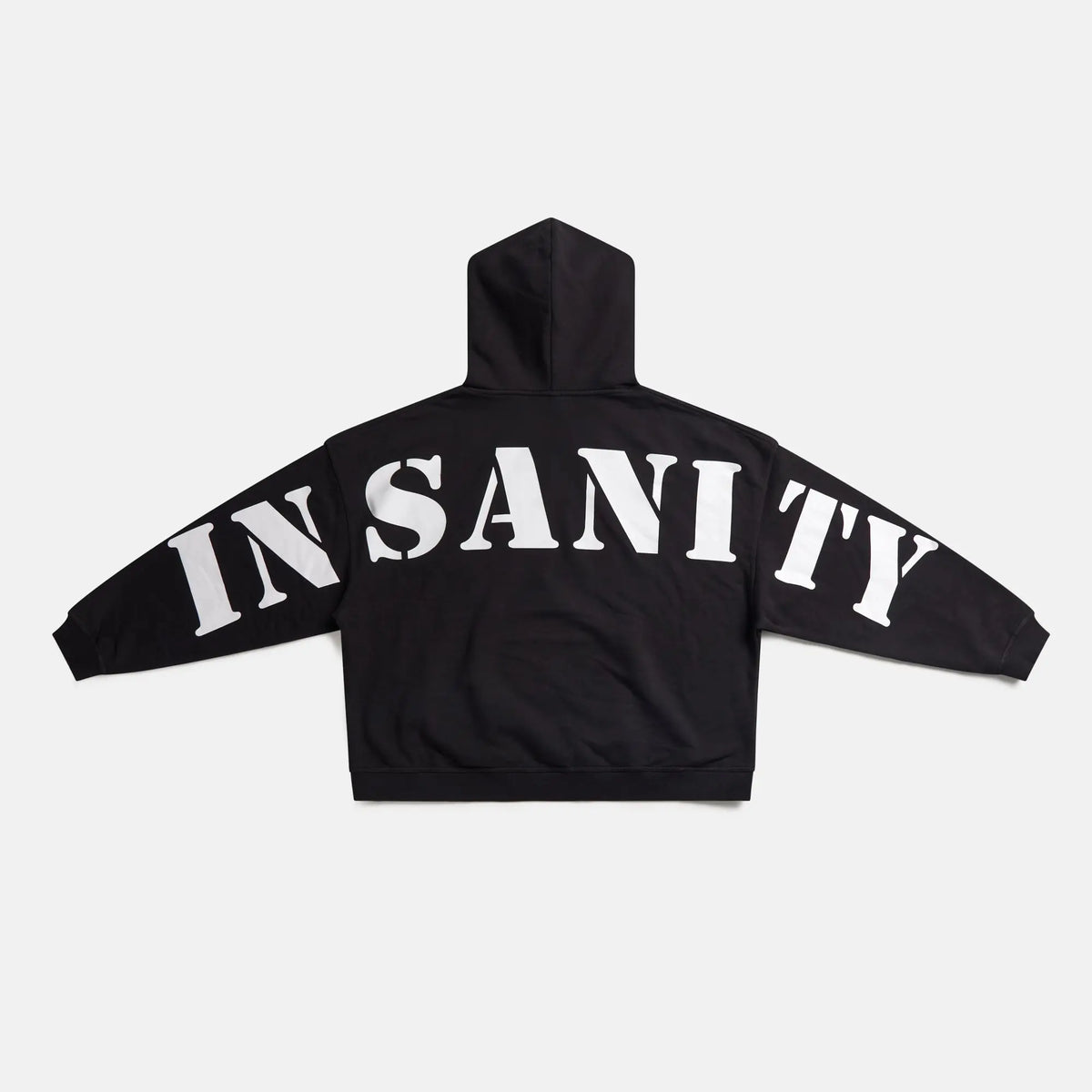 460 GSM Heavyweight Oversized Hoodie | Controlled Insanity | Gym Streetwear
